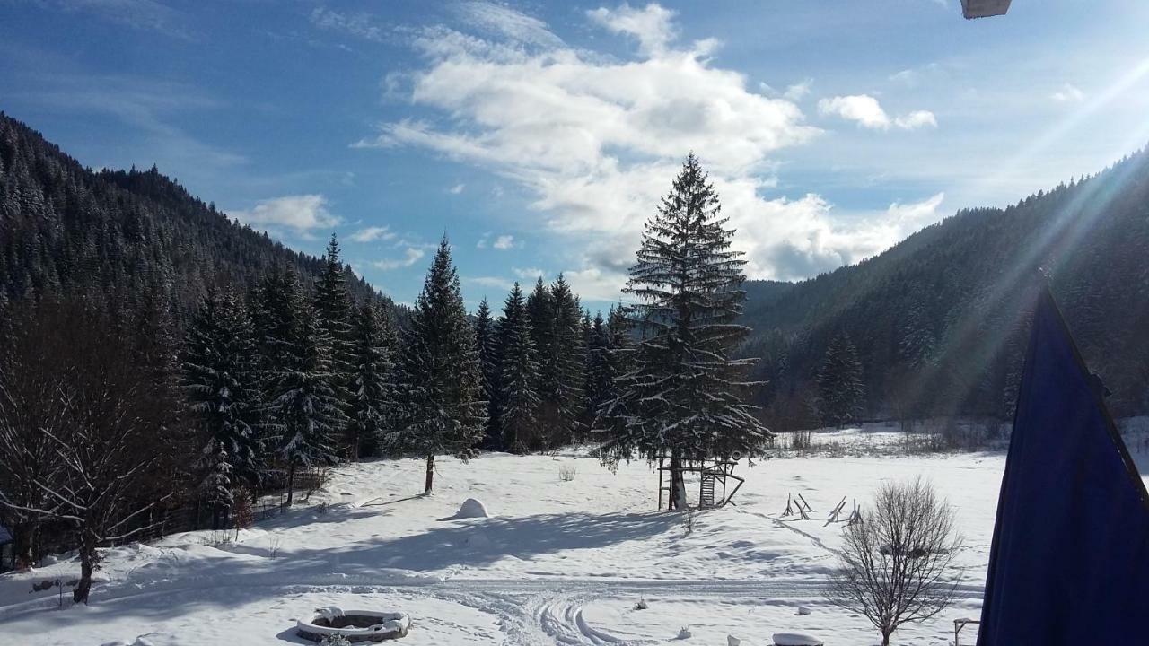 Pensiunea Poiana Soarelui Brates Esterno foto